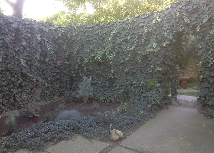 Agria Retur Vendeghaz