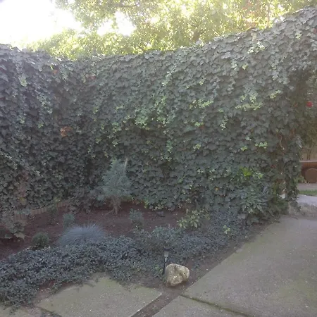 Agria Retur Vendeghaz